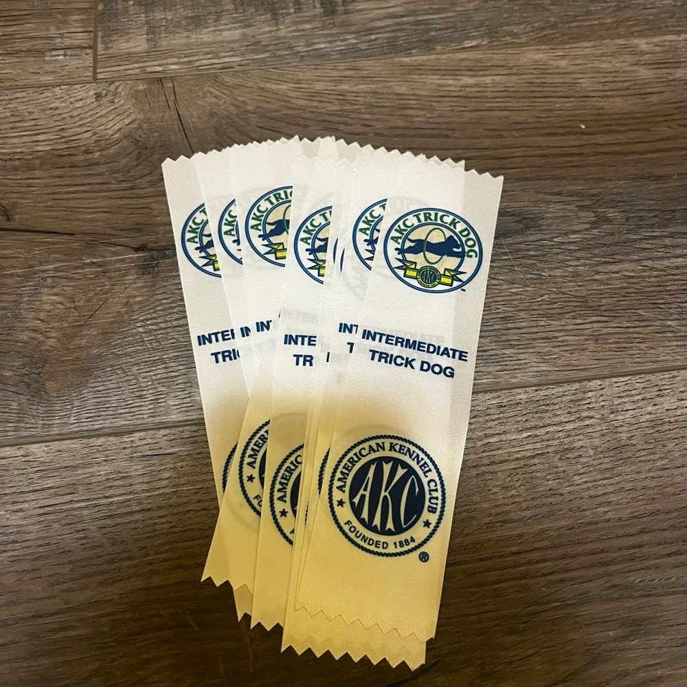 AKC intermediate dog trick winner badge